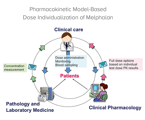 This image illustrates the collaborative system of pharmacokinetic dose individualization.