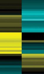 A heat map depicting genes differentially regulated in known pathways related to inflammation and susceptibility to infection.