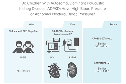 An image explaining the research study.