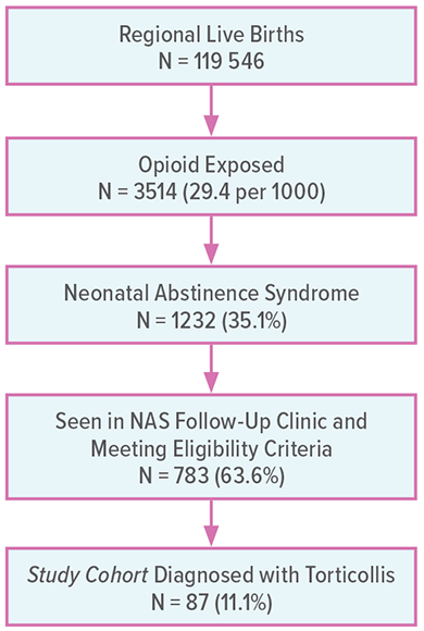 An image showing how infants in this study were selected.