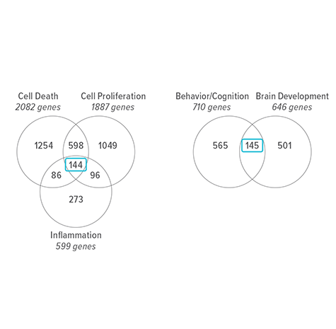 A comparison of biological processes and pathways associated with traumatic brain injury showing several common genes.