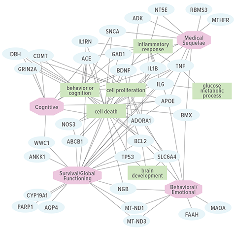 A network representation depicting the crosstalk between traumatic brain injury clinical outcomes, underlying genes, and implicated pathways.