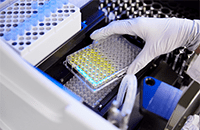 An image of a researcher working in the lab.