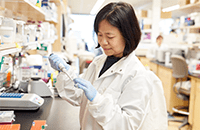 An image of a researcher working in the lab.
