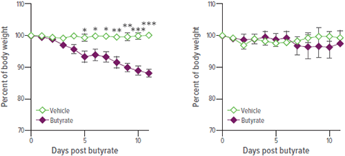 Figures showing changes in body weight.
