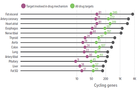 A graph showing pharmacological links to molecular rhythms in the human population.