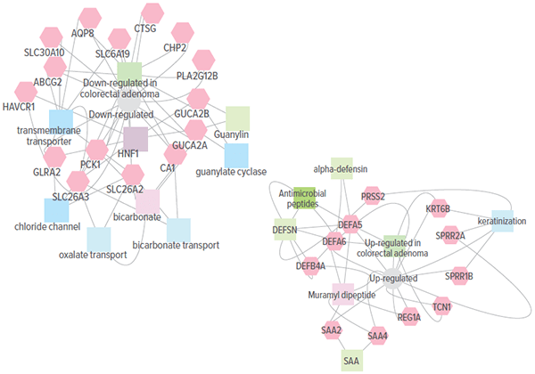 An image showing genes associated with response to first-line therapy in pediatric ulcerative colitis.