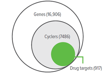 Image showing pharmacological links to molecular rhythms in the human population.