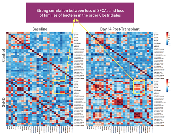 A Pearson correlation analysis.