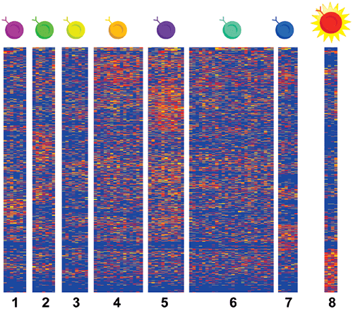 A heat map showing single-cell RNA sequencing data.