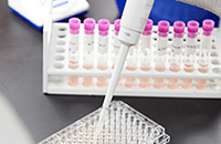 An image of a researcher with a pipette.