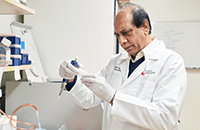 An image of a male researcher working in the lab.