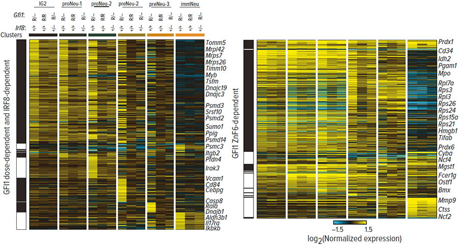 An image of gene heat maps.