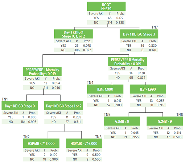 A chart showing the derived decision tree for estimating the risk of severe sepsis-associated acute kidney injury on Day 3 of septic shock.