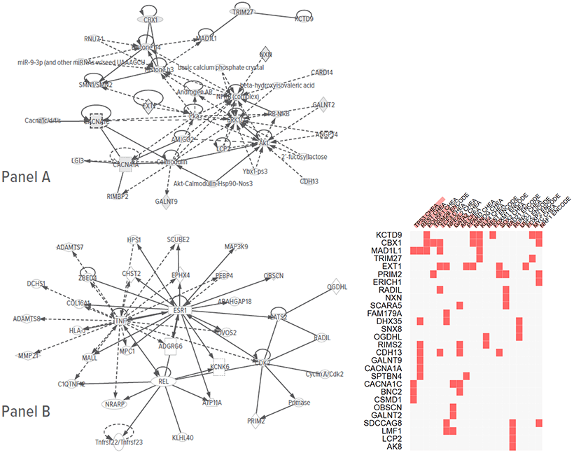 Images showing common neural networks suggested by differential methylation and potential future targets for exploration.