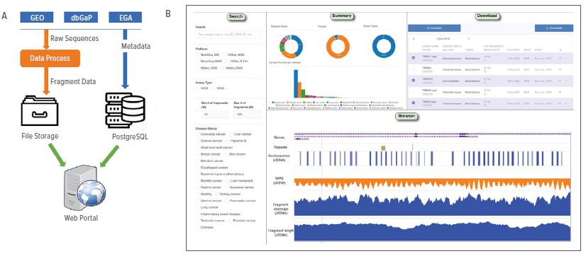 An image illustrating the system design and an example of the Web portal.