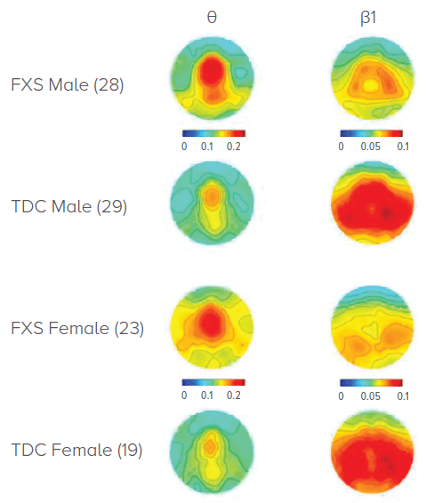 An image of topographic heat plots.
