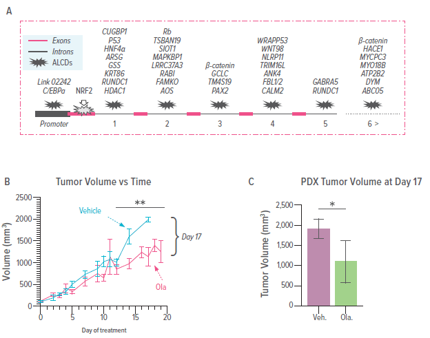 Graphs summarizing information on the ALCDs and effects of treatment with Olaparib on hepatoblastoma PDXs.