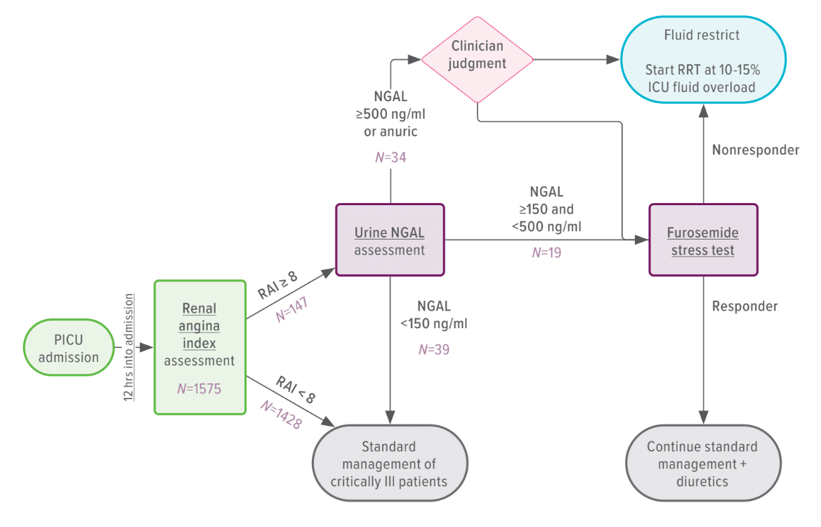 TAKING FOCUS 2 AKI clinical decision support flow.