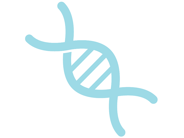 Graphic of a DNA strand.