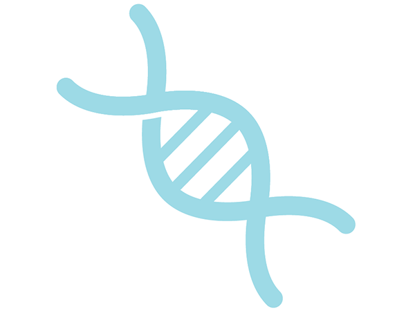 Graphic of a DNA strand.
