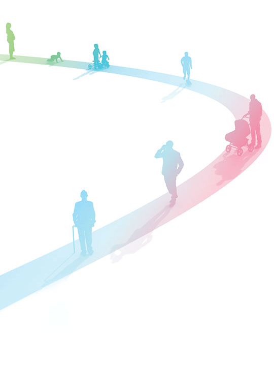 Graphic of the life cycle.