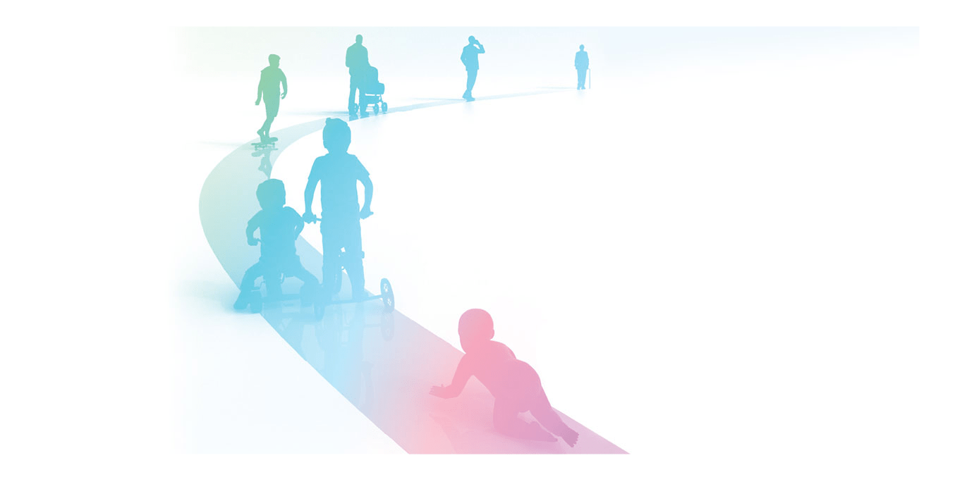 Graphic of the life cycle.