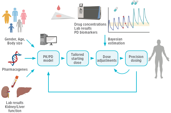 An image showing the steps involved in PK/PD-informed precision dosing.