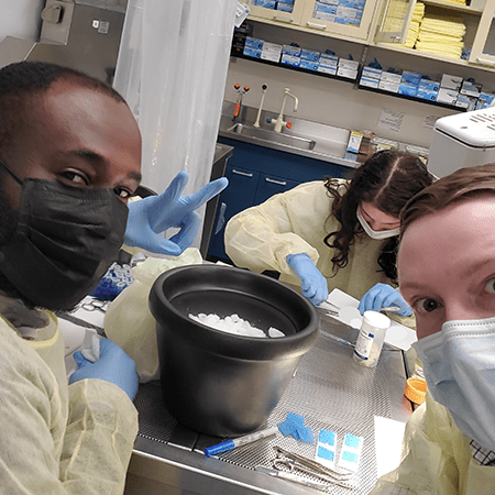 Working in the lab.