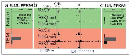 Chromatin Marks at the Th2 Cytokine Locus.