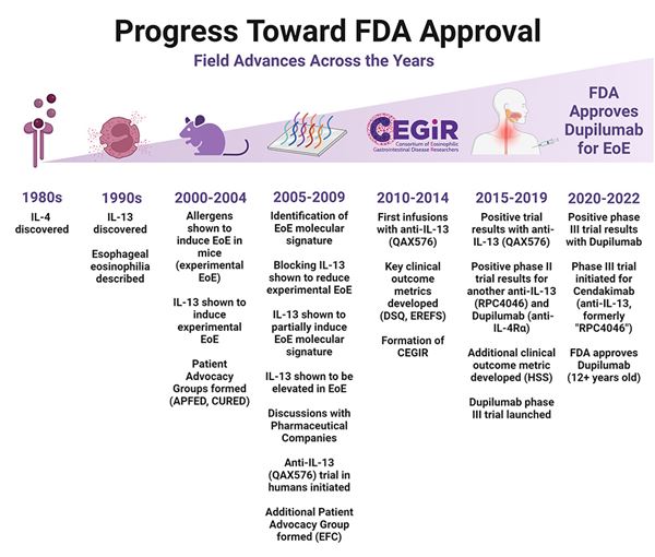 Graph of progress towards FDA approval of dupilumab.