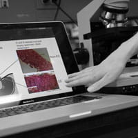 Hand pointing to computer screen.