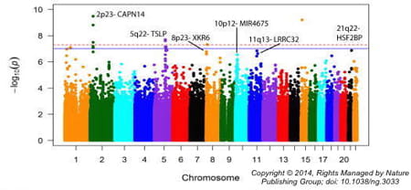 Genetic Basis of Allergic Disease visual graphic.
