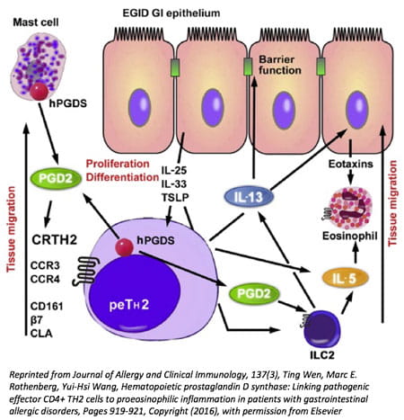 Immunopathogenesis.