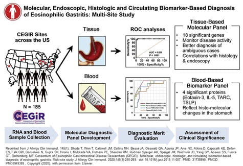 Shoda 2020 Graphical Abstract.