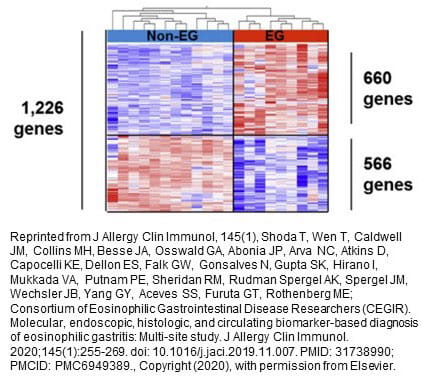 Genome-wide Screening to Identify Representative Biomarkers in Eosinophilic Gastritis.