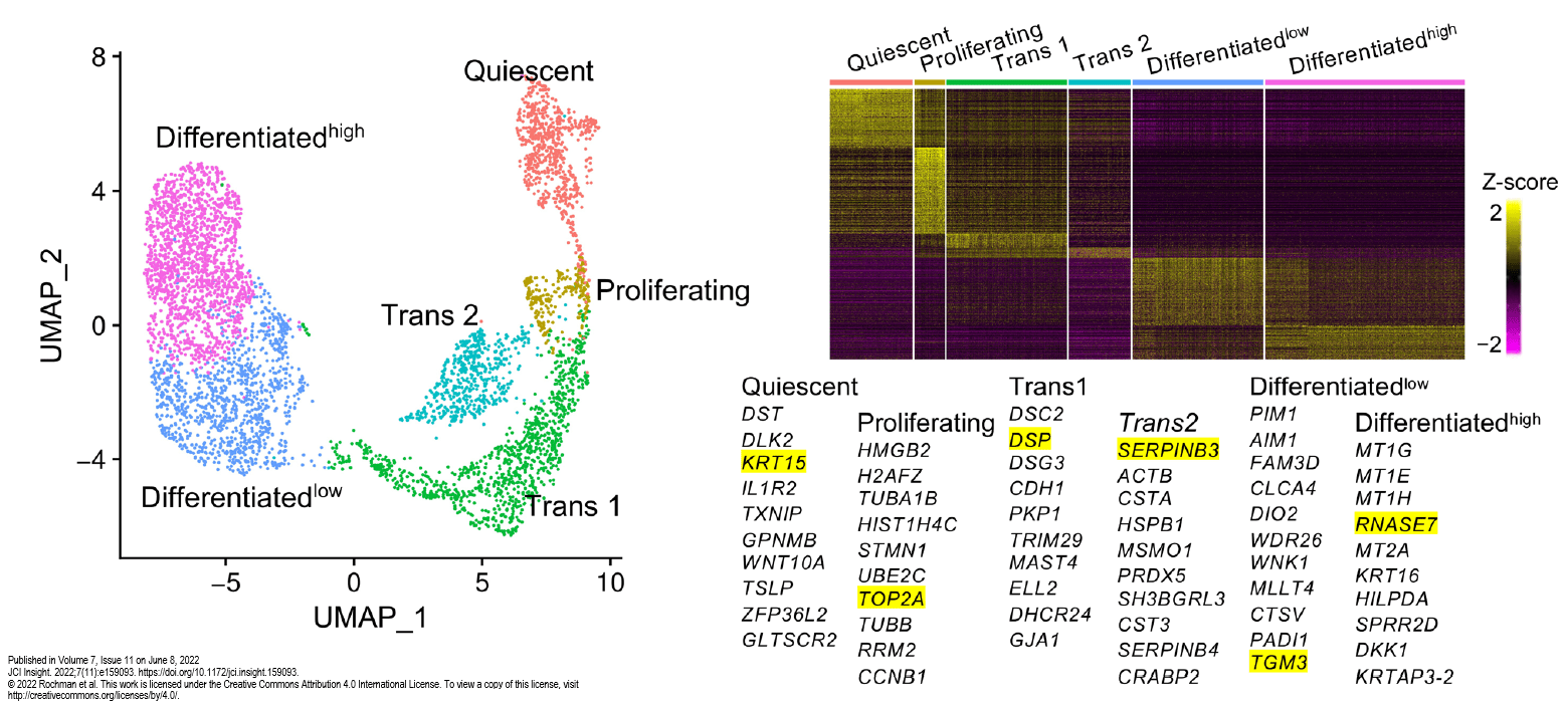 A graph about precision medicine.