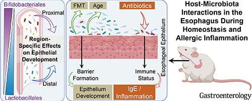 research-callout1-250-figure 3