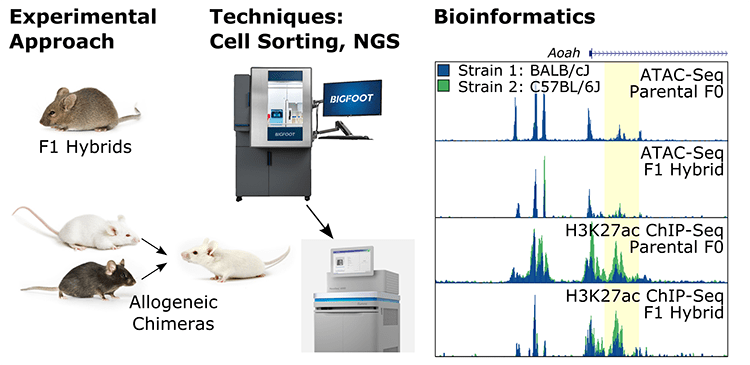 Troutman project 2 image.