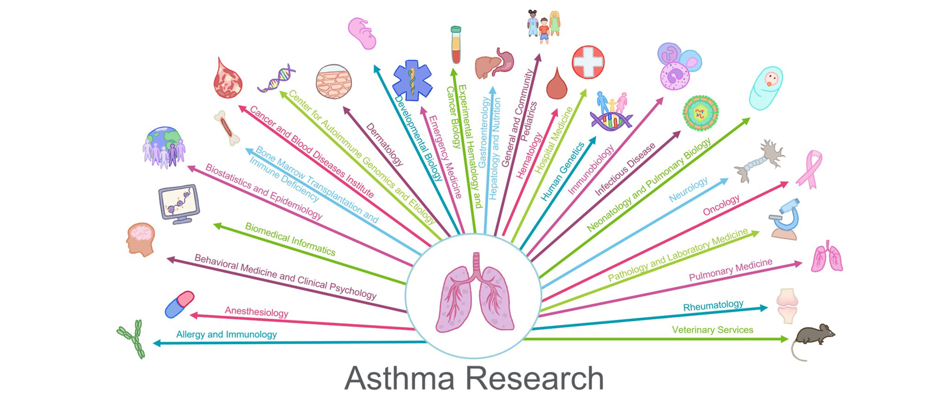 Asthma research collaborations.
