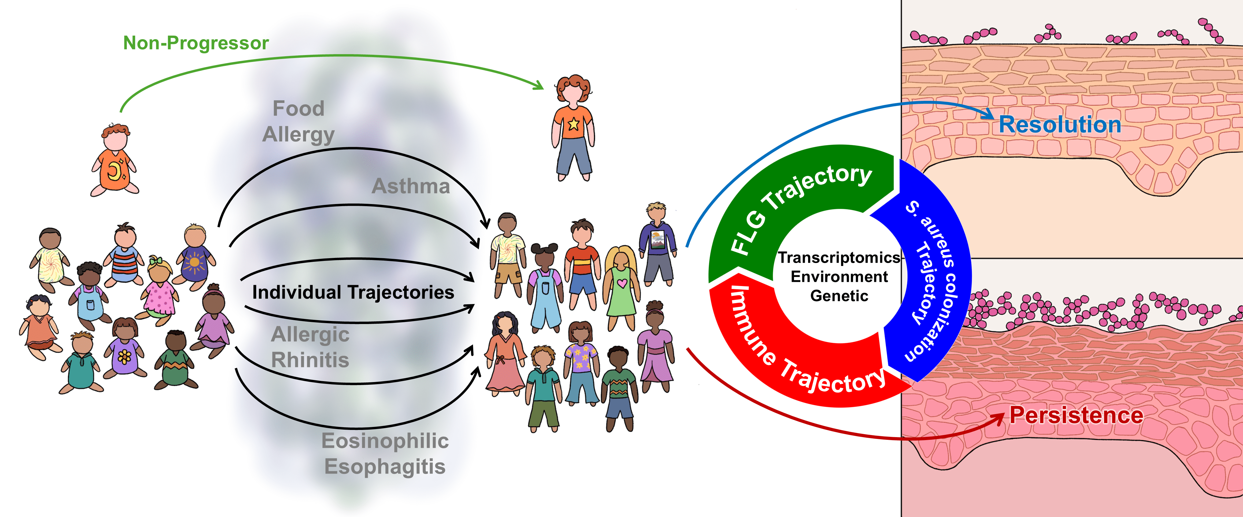 Hershey Lab research.