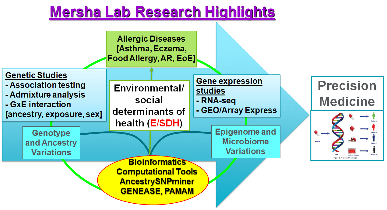 A chart illustrating Mersha Lab's research highlights.