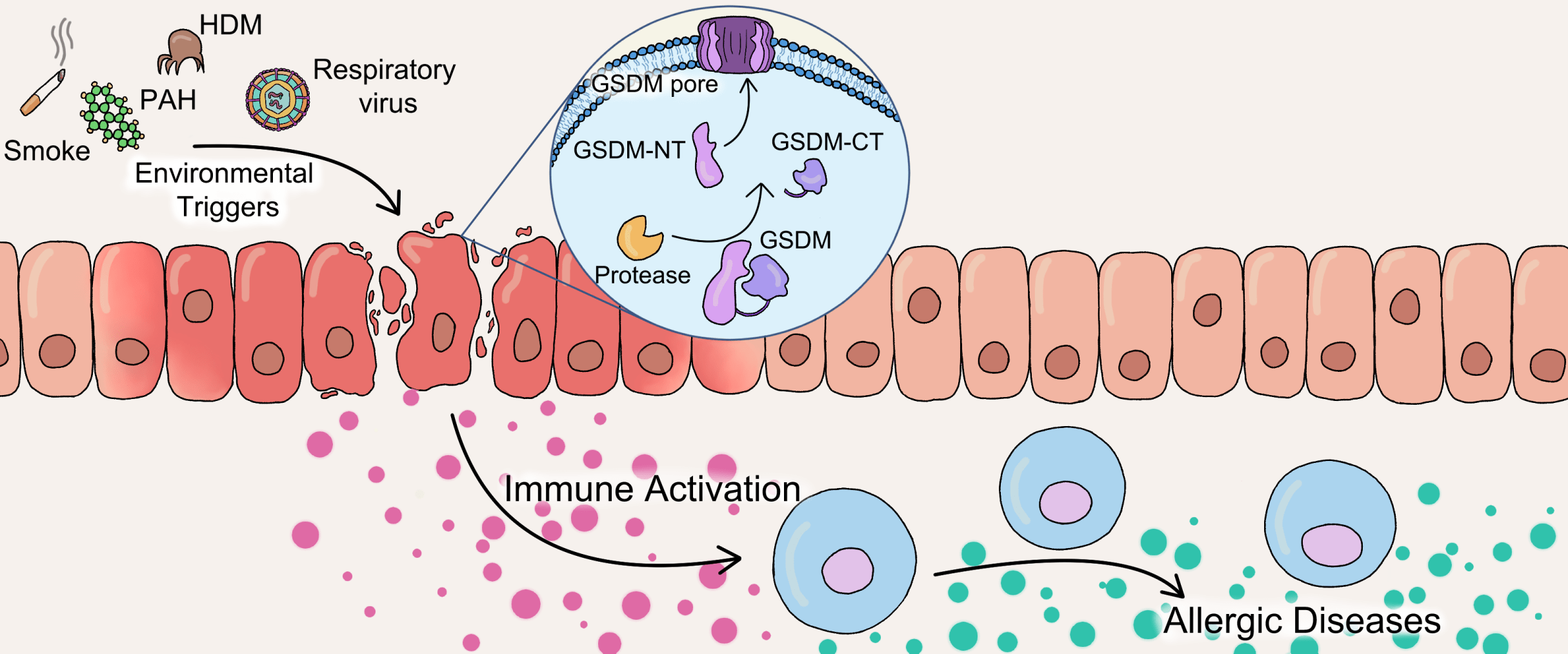Panganiban Lab graphic.