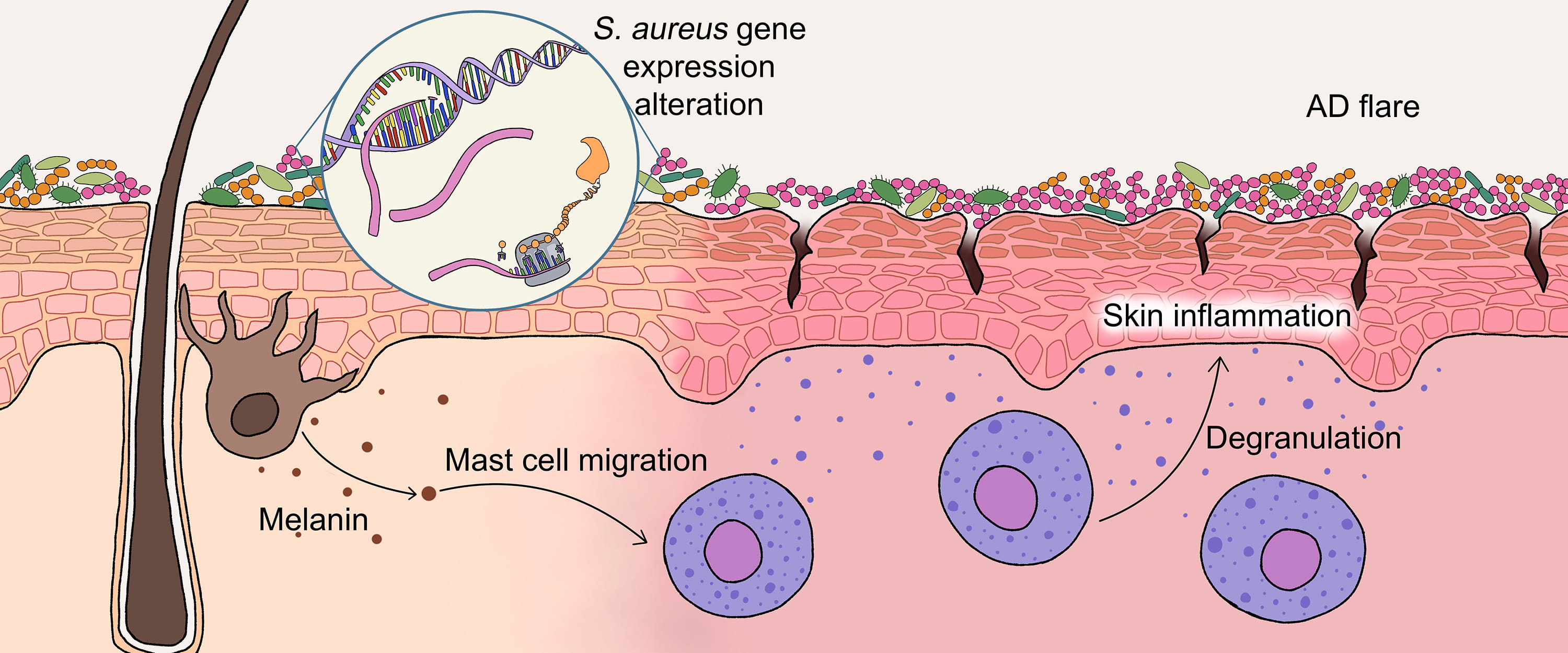 Lab project graphic.