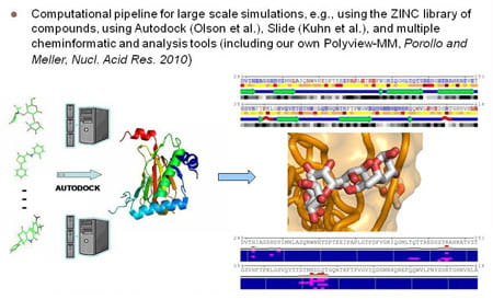 Computational pipeline for large scale simulations, e.g., using the the ZINC library of compounds, using Autodoct (Olson et al.), Slide (Kuhn et al.), and multiple cheminformatic and analysis tools (including our own Polyview-MM, Porollo and Meller, Nucl. Acid Res. 2010).
