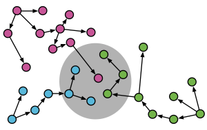 Antibody evolution converging on the same binding solution.