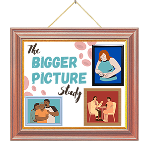 The Bigger Picture Study.