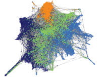 organoid development mapping