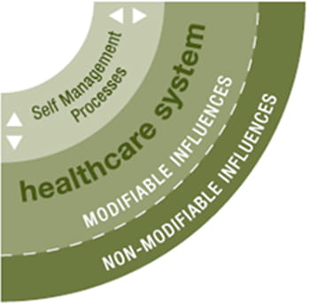 The Role of the Healthcare System