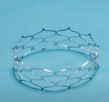 A minimally invasive cardiac stent designed to expand as younger patients grow.
